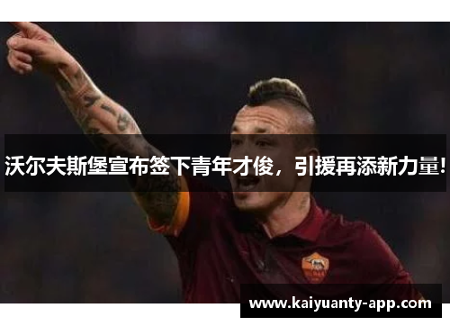 沃尔夫斯堡宣布签下青年才俊，引援再添新力量!