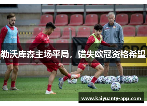 勒沃库森主场平局，错失欧冠资格希望
